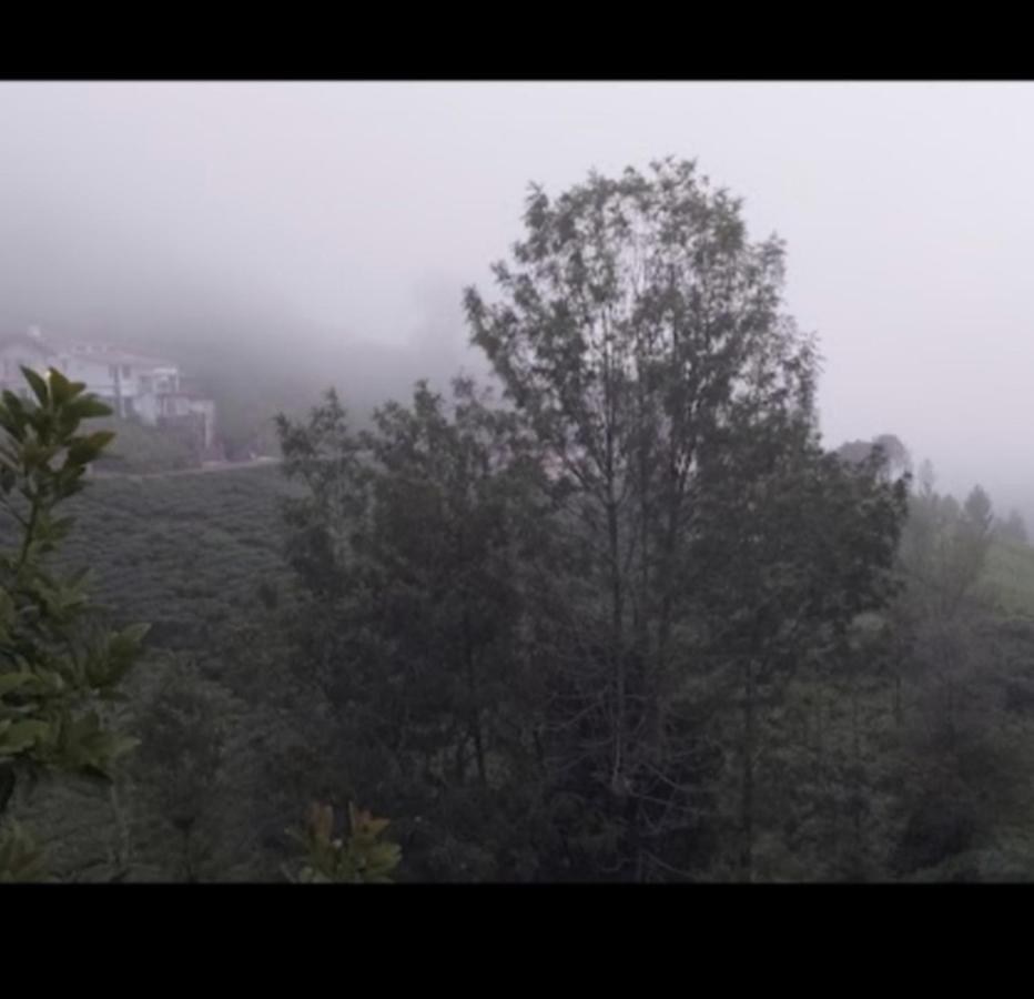The Valley Villa 科塔吉里 外观 照片